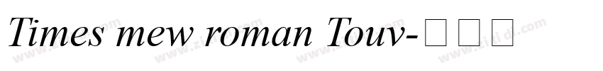 Times mew roman Touv字体转换